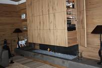 Spezialkamin mit Gas oder Holz