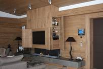 Spezialkamin mit Gas oder Holz