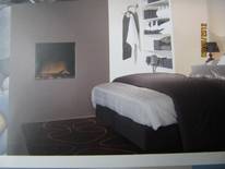 Elektrische Kaminfeuer