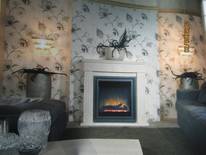 Elektrische Kaminfeuer