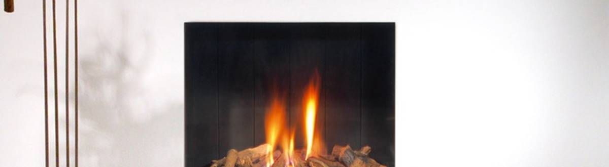 Gaskamin Spectra frameless Modell Rahmenlos