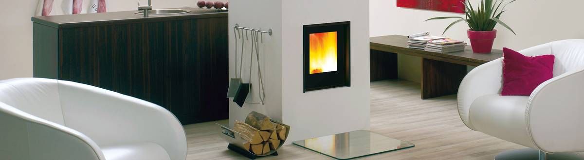 Heizkamin Arte F-1V Holzheizherde Holzkamin