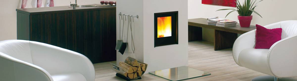 Heizkamin Arte F-FD Holzheizherd Holzkamin Holzherd