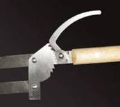 Schwenk grill Kamine