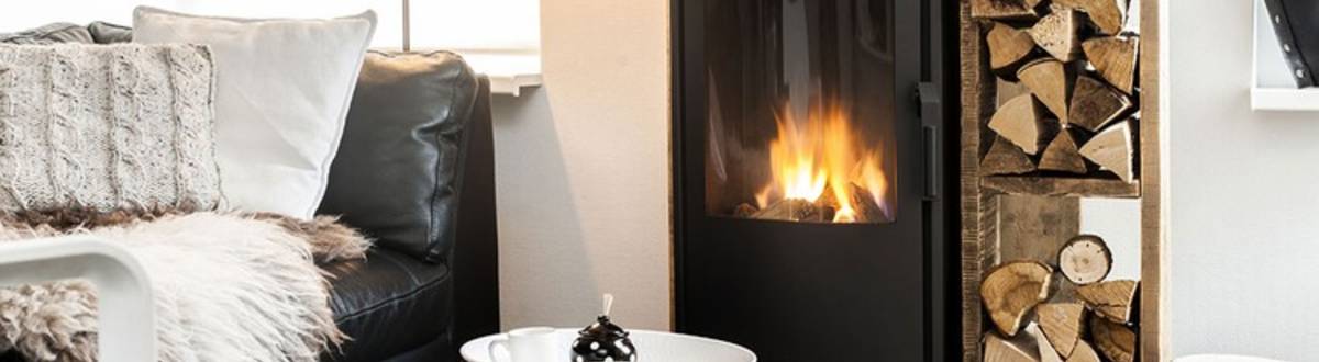 Gaskamin Vaska Modell Freistehend