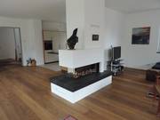 Wohnzimmer Kamine mit Gas und Holz